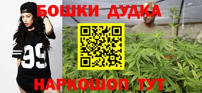 скорость Бердск