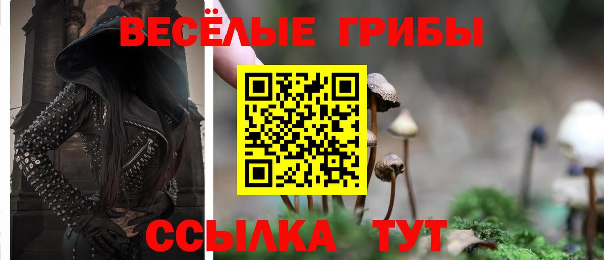 Псилоцибиновые грибы ЛСД Железноводск