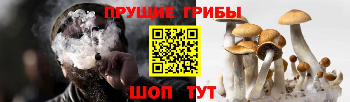 Псилоцибиновые грибы мицелий  Вход с VPN  Железноводск 